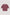 color:BURGUNDY
