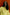 color:YELLOW