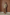 color:KHAKI