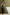 color:ARMY GREEN