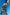 color:BLUE FLORAL