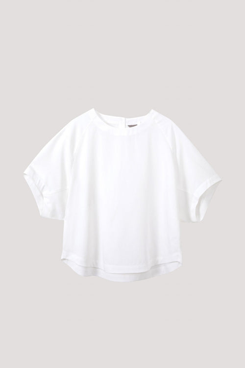 color:IVORY