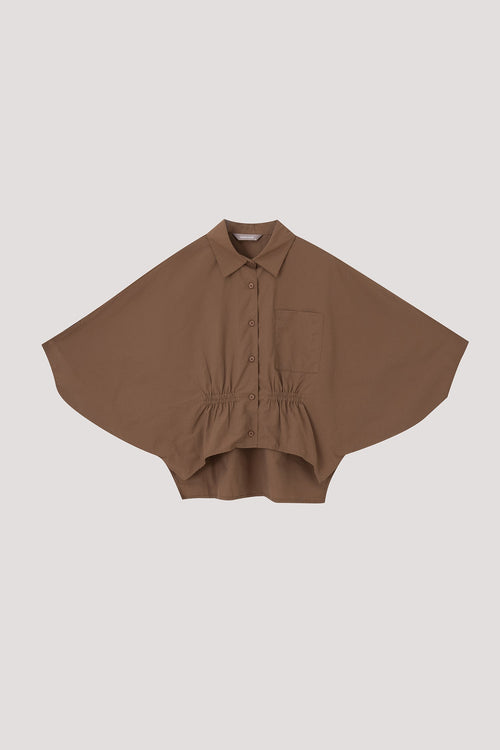 color:COCOA