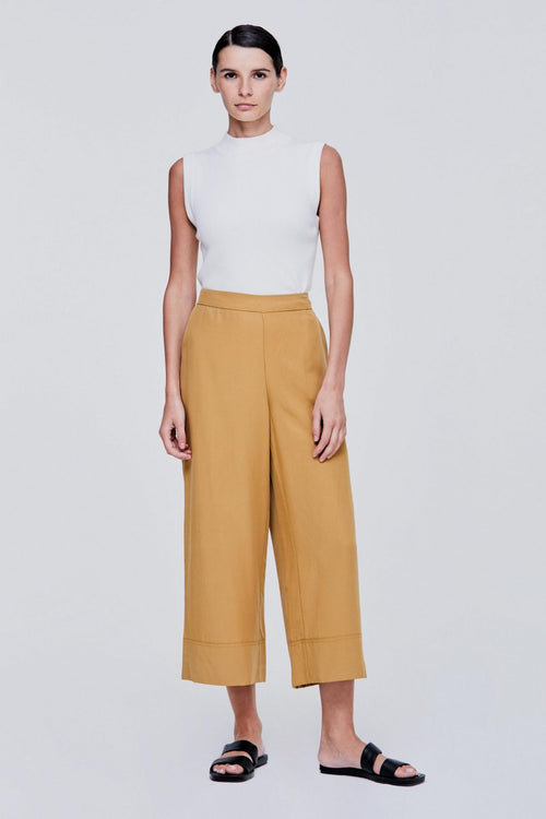 color:OCHRE
