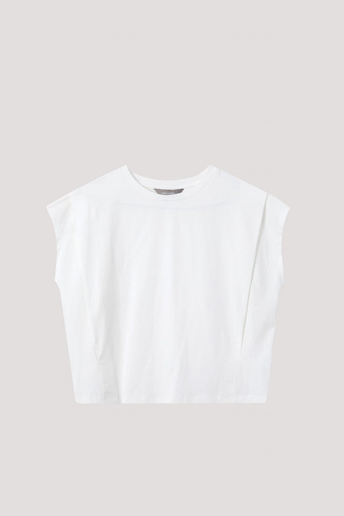 color:IVORY
