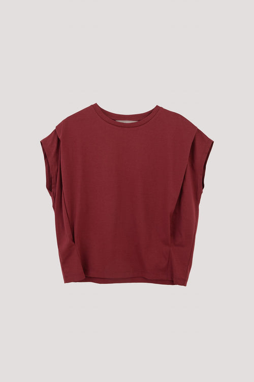 color:MAROON