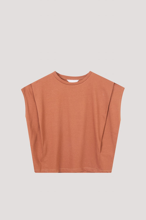 color:BROWN