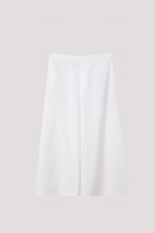 color:IVORY