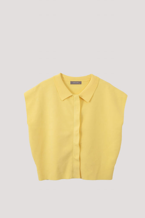 color:PALE YELLOW