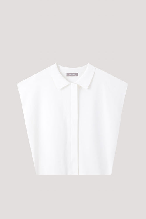 color:CREAM