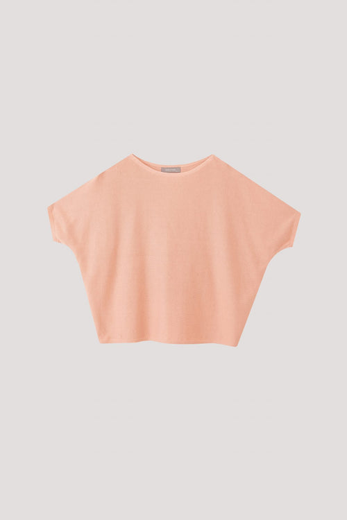 color:BLUSH