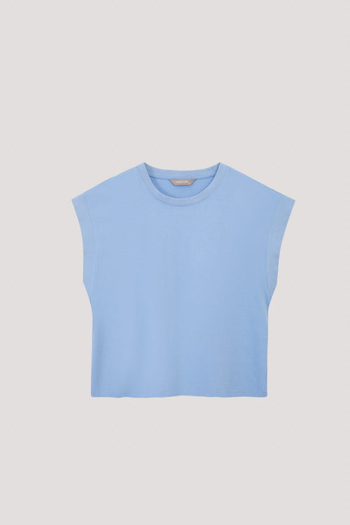 color:CORNFLOWER