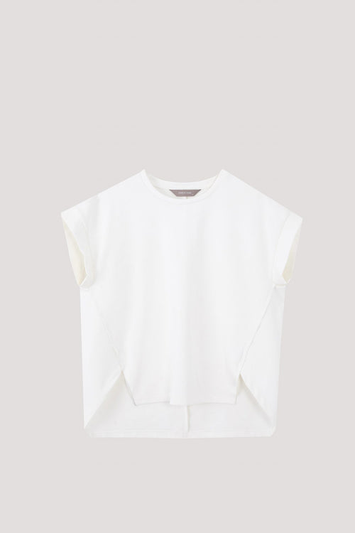 color:IVORY