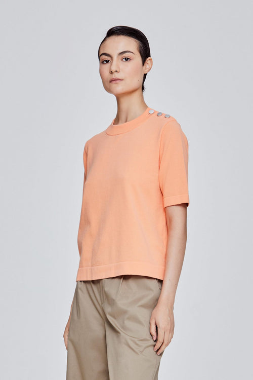 color:APRICOT