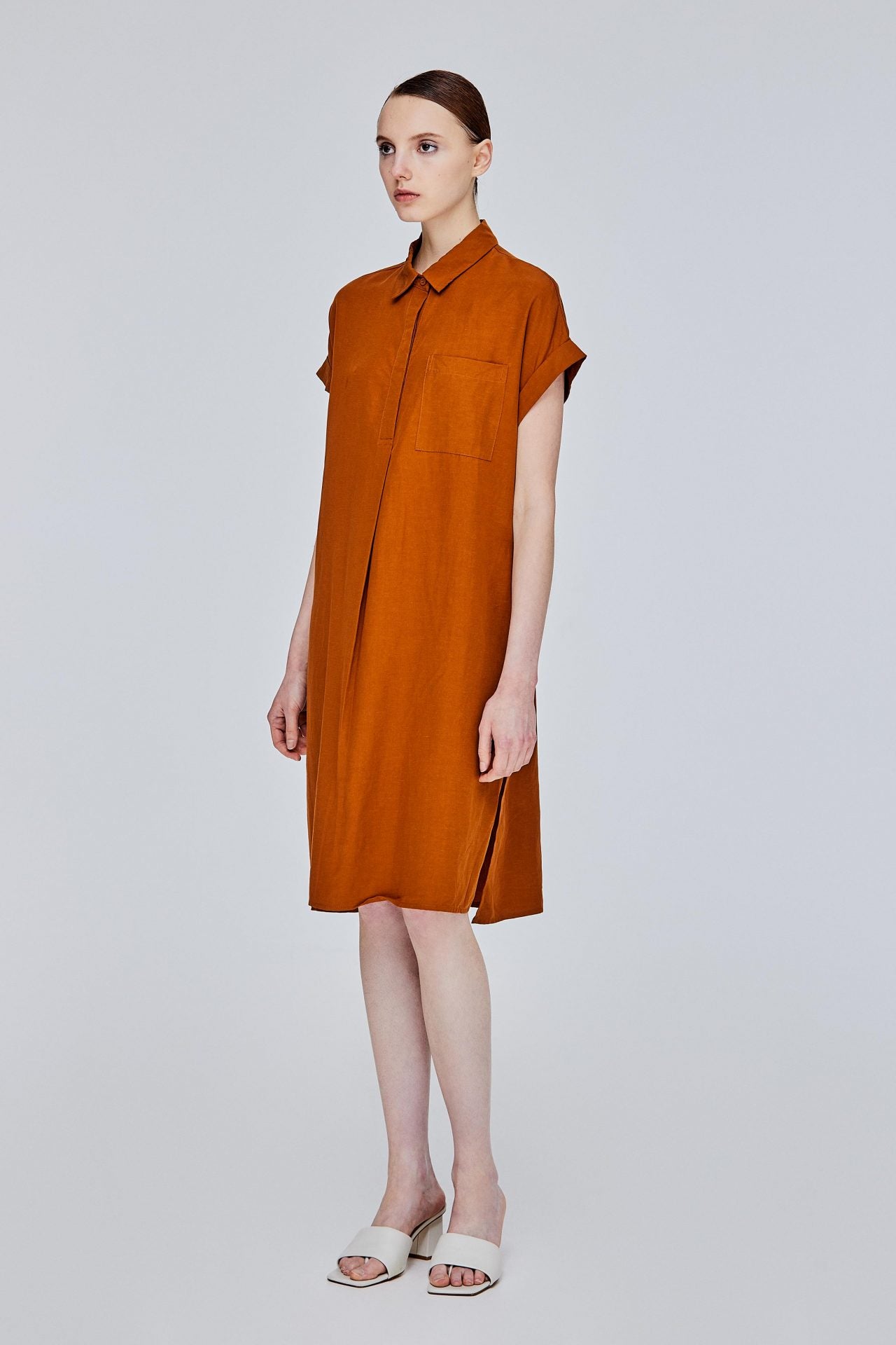 color:CAMEL