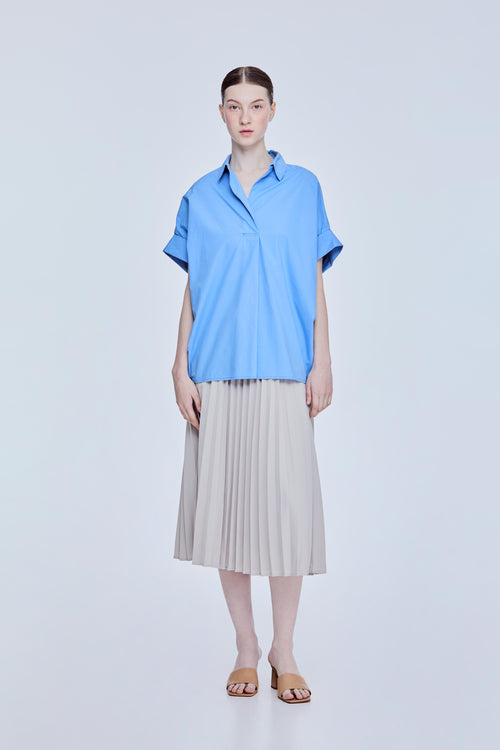 color:CORNFLOWER