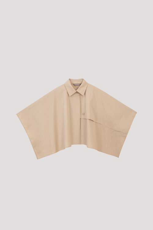 color:BEIGE