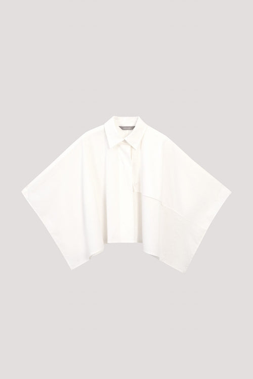color:IVORY