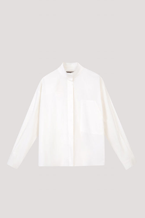 color:IVORY