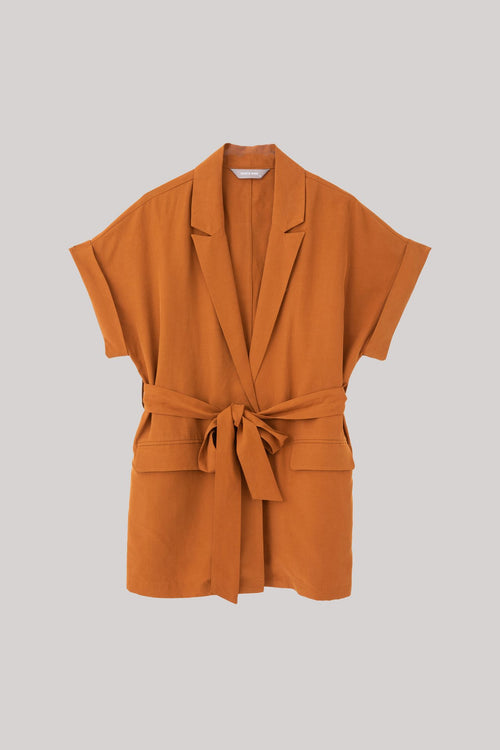 color:CAMEL