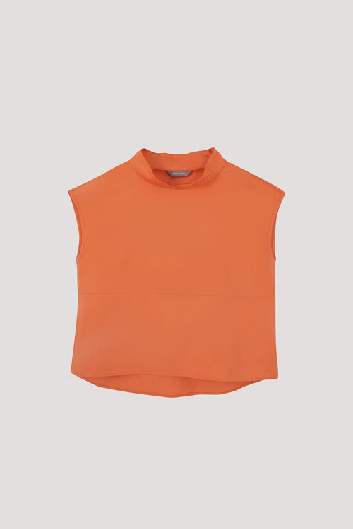 color:ORANGE