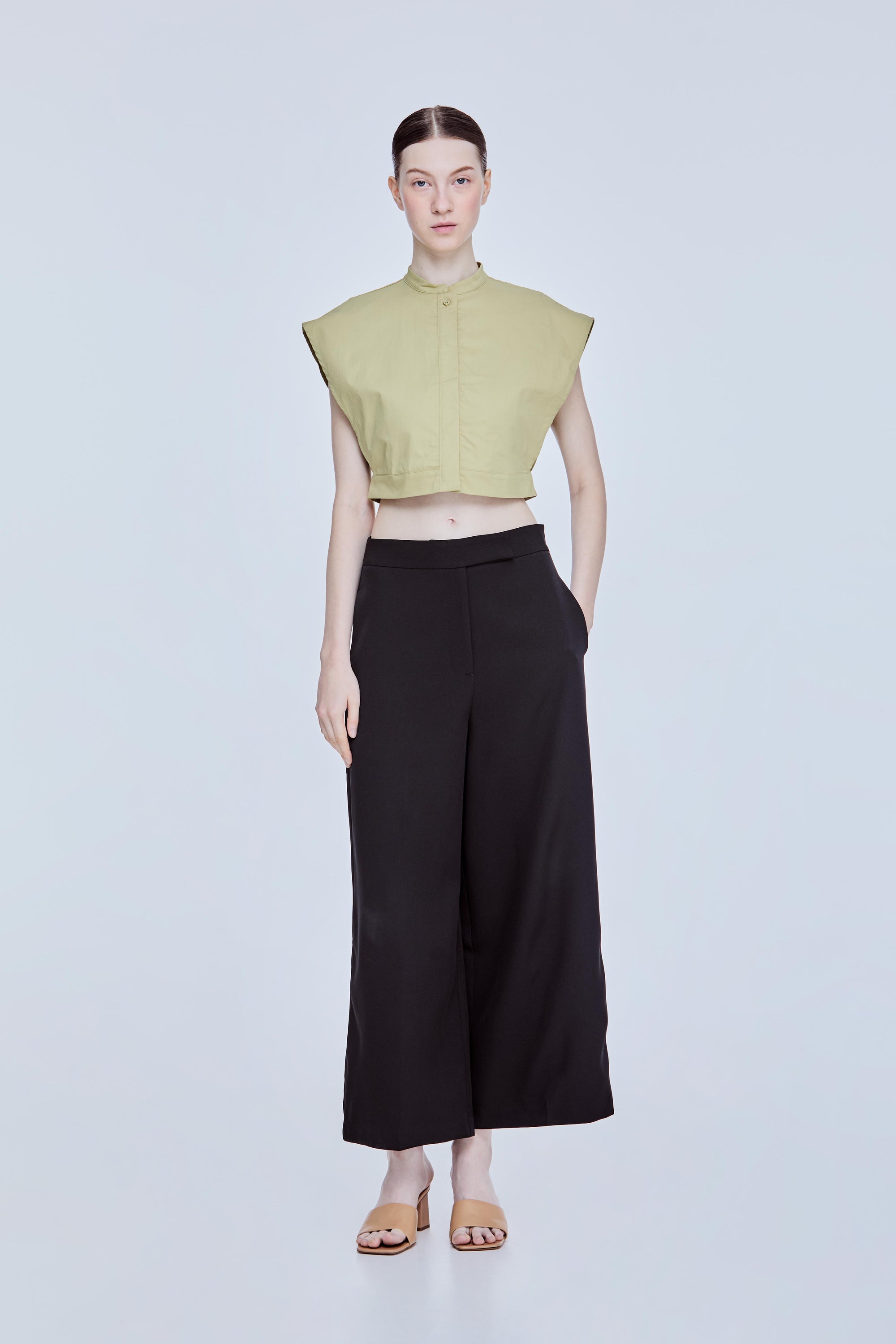 color:AVOCADO