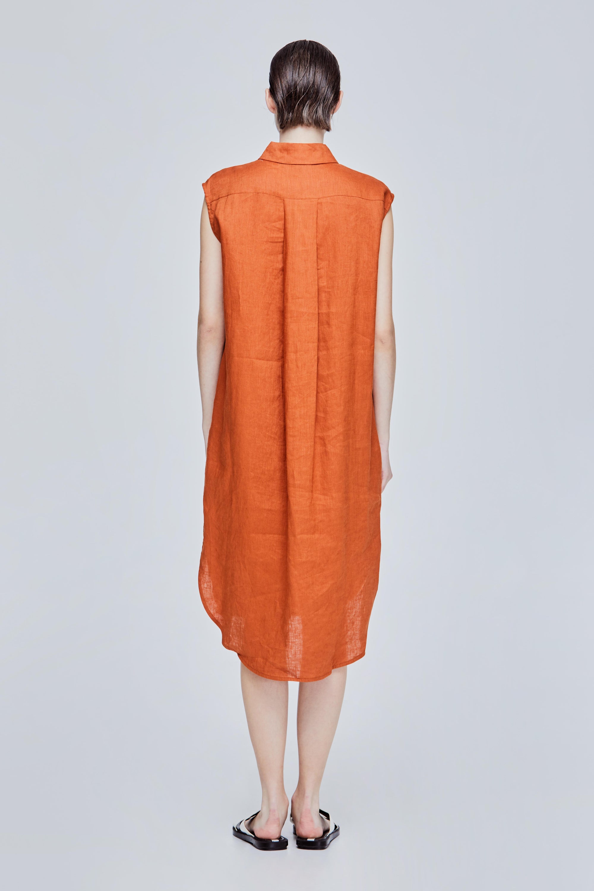 color:CAMEL