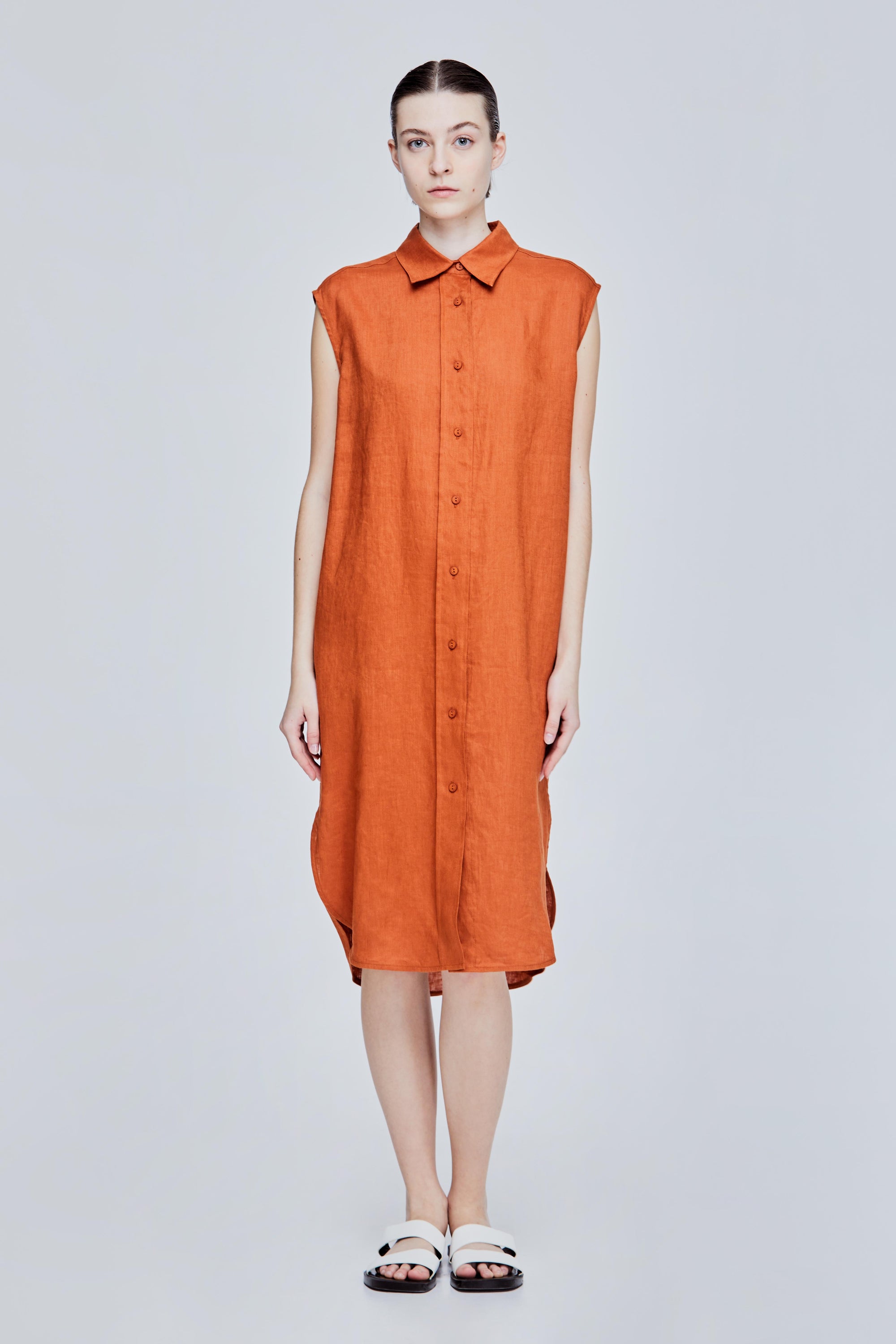 color:CAMEL