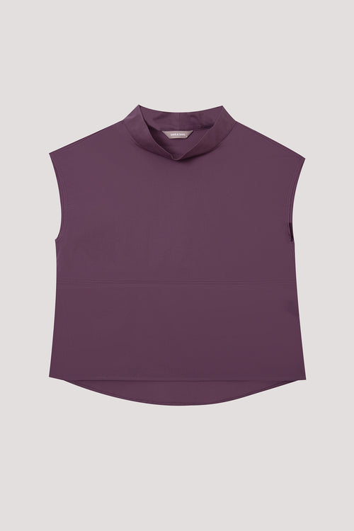 color:EGG PLANT
