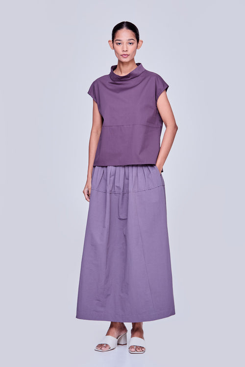 color:EGG PLANT
