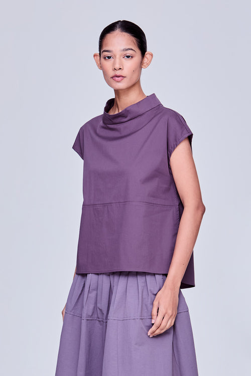 color:EGG PLANT