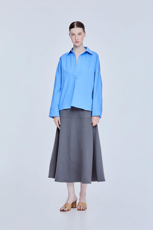 color:CORNFLOWER