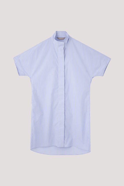 color:BLUE STRIPE