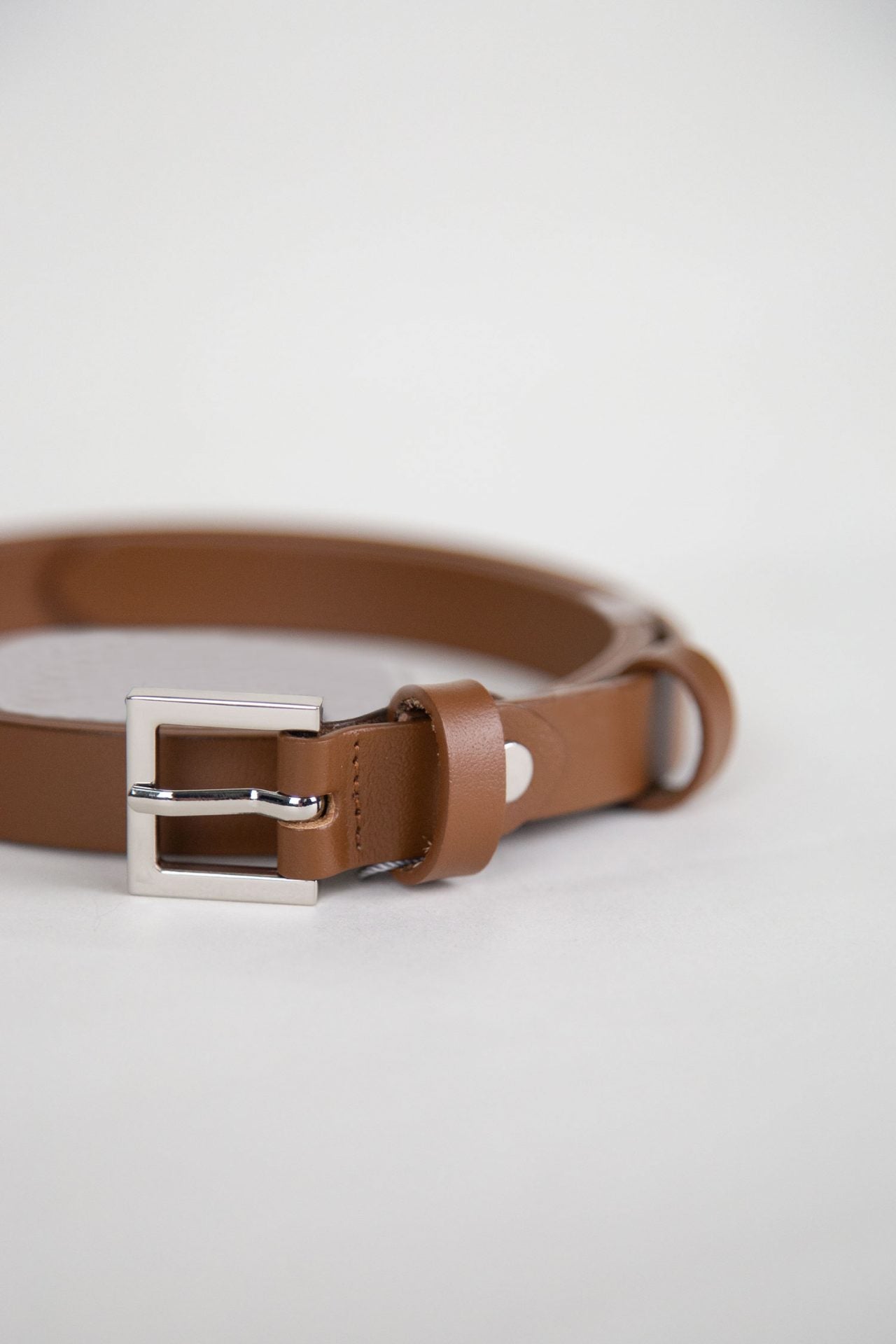 color:CAMEL