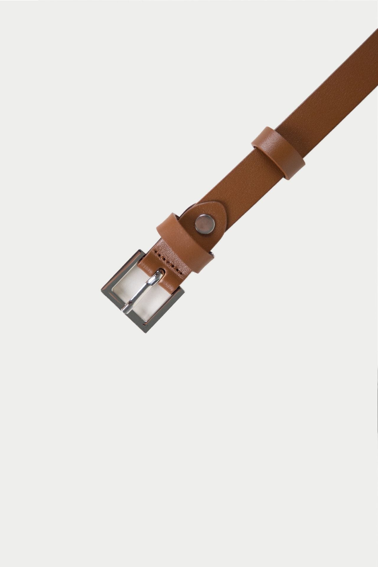color:CAMEL
