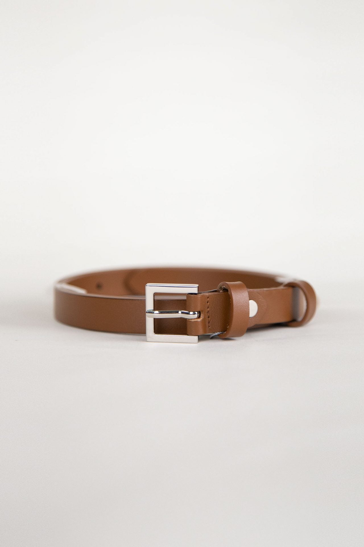 color:CAMEL