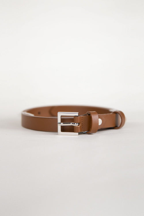 color:CAMEL