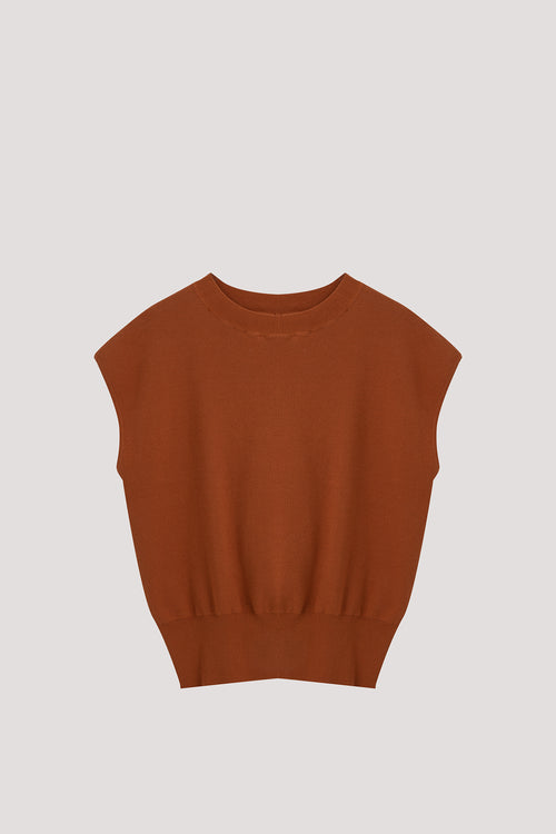 color:CAMEL