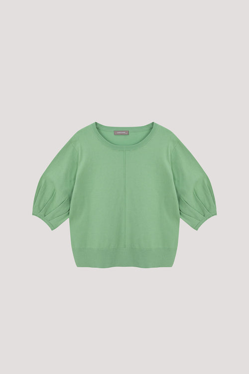 color:MINT