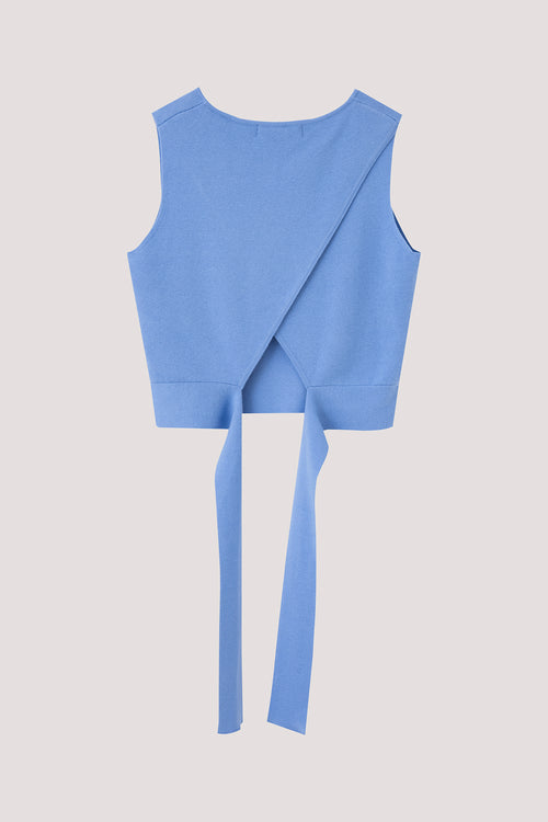 color:CORNFLOWER