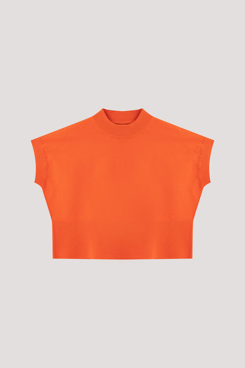 color:ORANGE