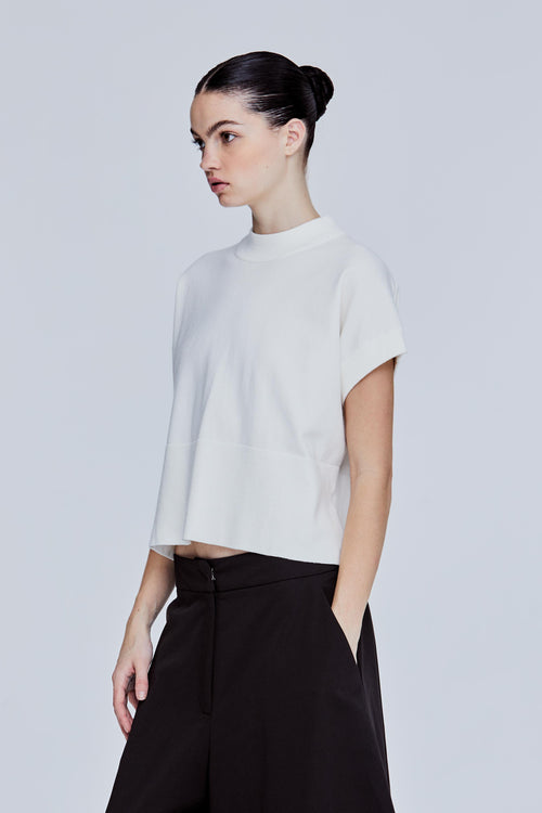 color:IVORY