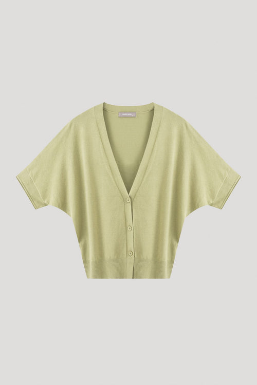 color:OLIVE