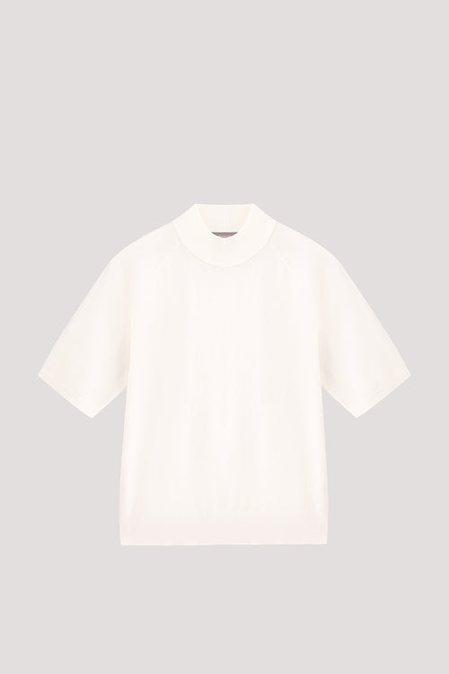 color:IVORY