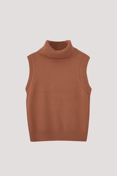 color:SALMON