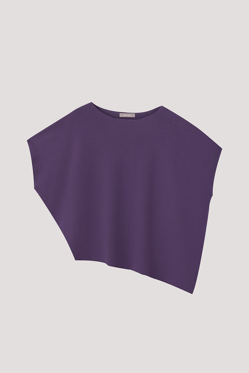 color:DARK PURPLE