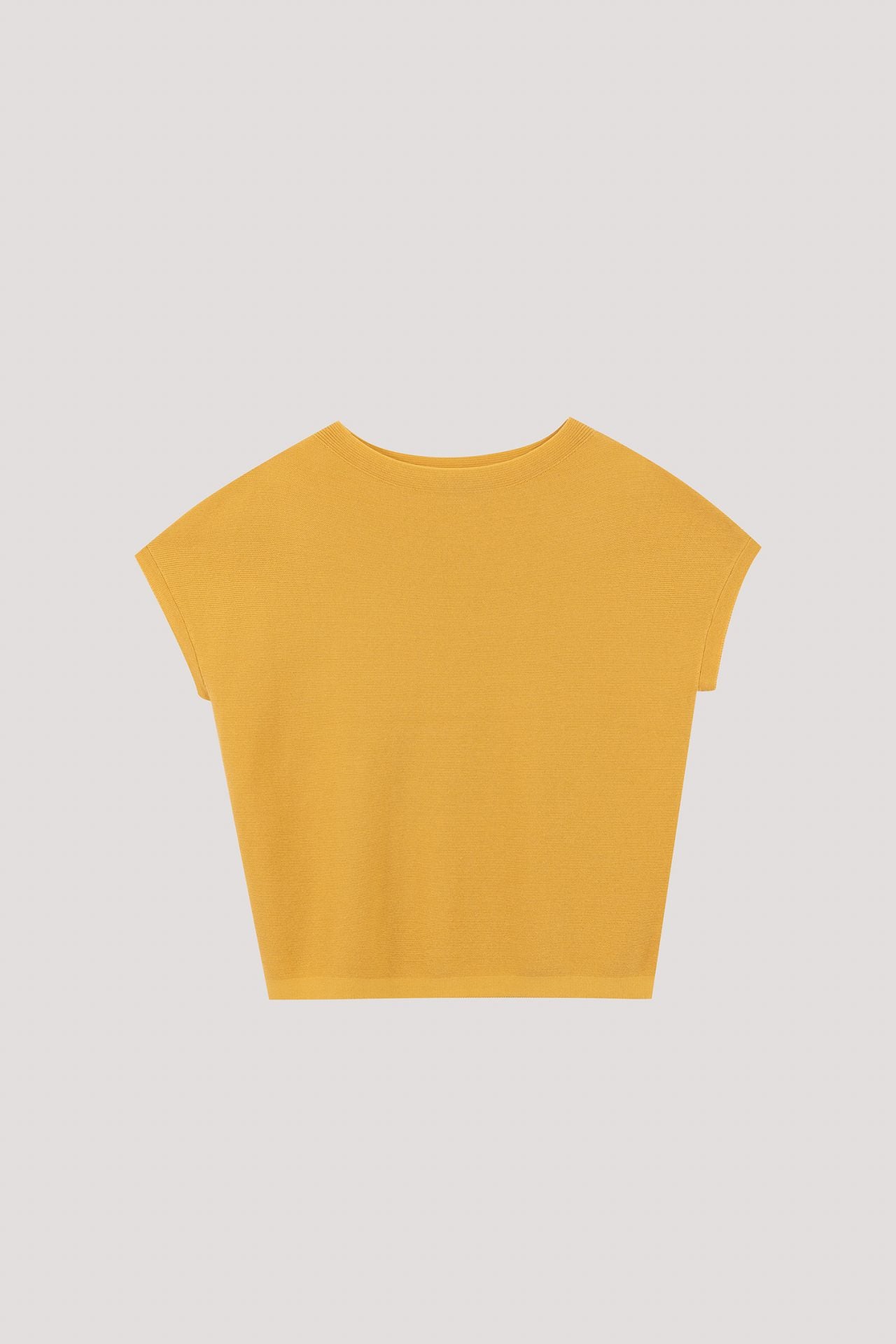 color:MUSTARD