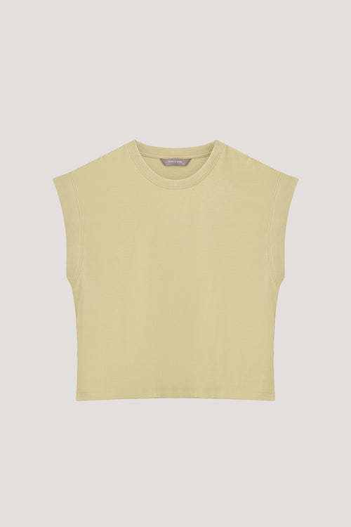 color:TEA GREEN