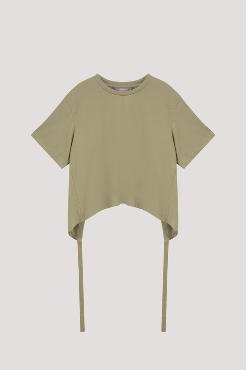 color:LIGHT GREEN