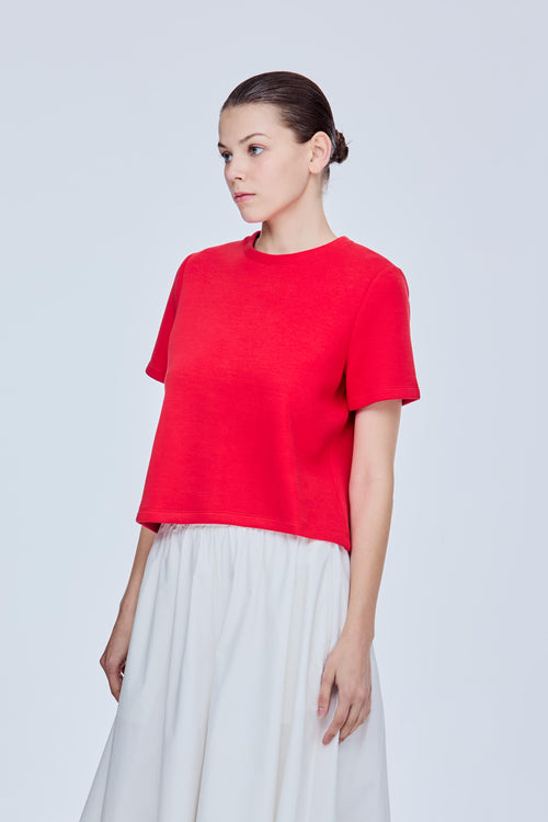color:SCARLET